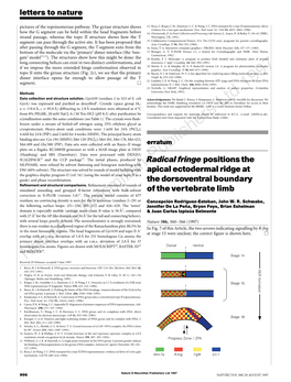 Radical Fringe Positions the Apical Ectodermal Ridge at the Dorsoventral Boundary of the Vertebrate Limb