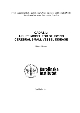 A Pure Model for Studying Cerebral Small Vessel Disease