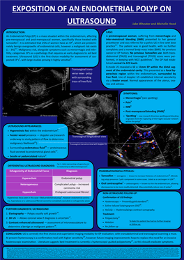 An Endometrial Polyp on Ultrasound