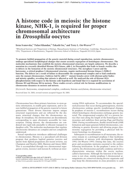 A Histone Code in Meiosis: the Histone Kinase, NHK-1, Is Required for Proper Chromosomal Architecture in Drosophila Oocytes