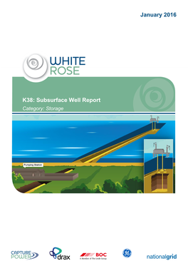 K38: Subsurface Well Report Category: Storage