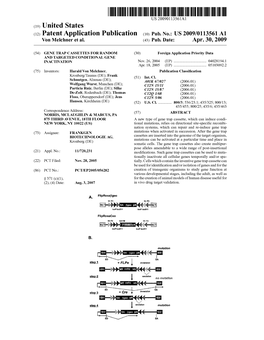 (12) Patent Application Publication (10) Pub. No.: US 2009/0113561 A1 Von Melchner Et Al