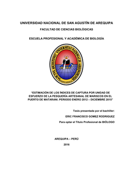 Universidad Nacional De San Agustín De Arequipa