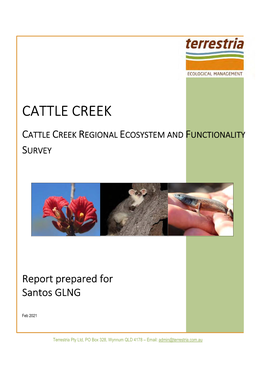 Cattle Creek Ecological Assessment Report