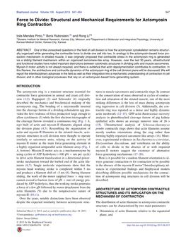 Force to Divide: Structural and Mechanical Requirements for Actomyosin Ring Contraction