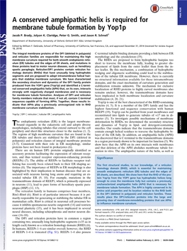 A Conserved Amphipathic Helix Is Required for Membrane Tubule Formation by Yop1p