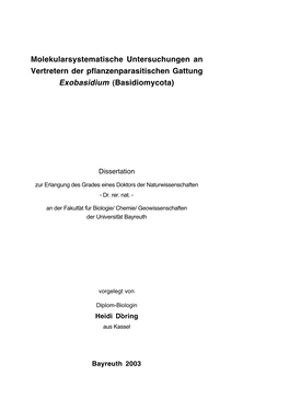 Dissertation, Bayreuth 2003