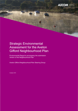 Report Strategic Environmental Assessment for the Aveton Gifford