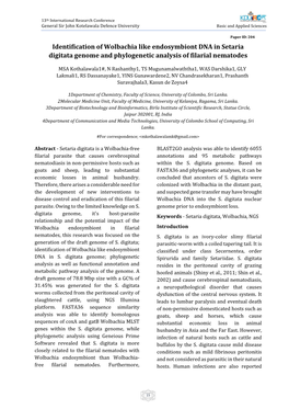 Identification of Wolbachia Like Endosymbiont DNA in Setaria Digitata Genome and Phylogenetic Analysis of Filarial Nematodes