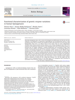 Functional Characterization of Genetic Enzyme Variations in Human Lipoxygenases