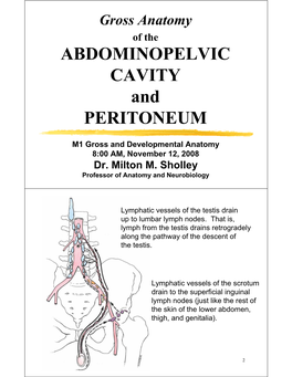 ABDOMINOPELVIC CAVITY and PERITONEUM