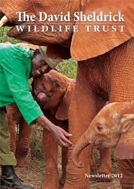 The David Sheldrick WILDLIFE TRUST