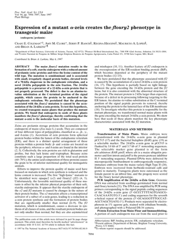 Zein Creates the Floury2 Phenotype in Transgenic Maize (Endosperm͞prolamin)