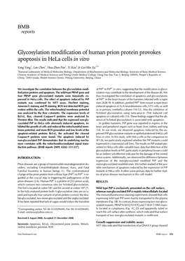 Glycosylation Modification of Human Prion Protein Provokes Apoptosis in Hela Cells in Vitro