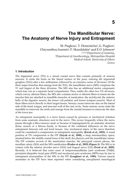 The Mandibular Nerve: the Anatomy of Nerve Injury and Entrapment