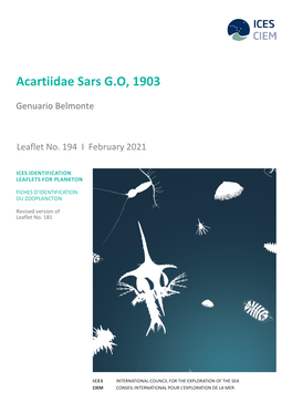 Acartiidae Sars, G.O. 1903