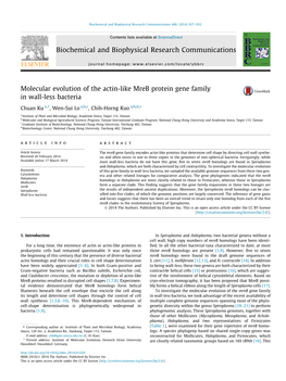 Molecular Evolution of the Actin-Like Mreb Protein Gene Family in Wall