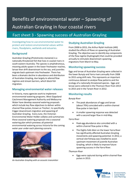 Benefits of Environmental Water – Spawning of Australian Grayling in Four Coastal Rivers Fact Sheet 3 - Spawning Success of Australian Grayling