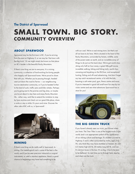 Small Town. Big Story. Community Overview