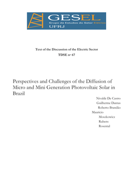 Perspectives and Challenges of the Diffusion of Micro and Mini