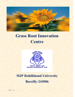 Grassroots Innovation Centre