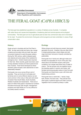 The Feral Goat (Capra Hircus)