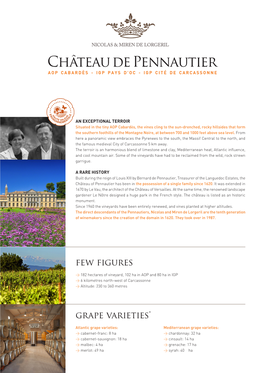 Château De Pennautier AOP CABARDÈS - IGP PAYS D’OC - IGP CITÉ DE CARCASSONNE