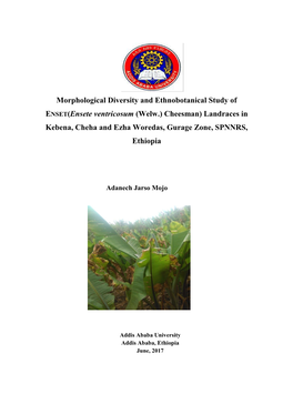 Morphological Diversity and Ethnobotanical Study of ENSET(Ensete Ventricosum (Welw.) Cheesman) Landraces in Kebena, Cheha and Ez