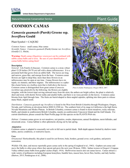 Common Camas (Camassia Quamash Ssp. Breviflora) Plant Guide