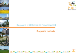 3 Diagnostic Territorial.Pdf