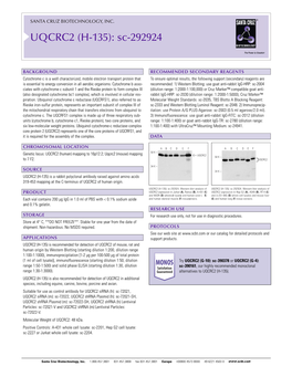 Datasheet Blank Template