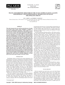 Traces and Burrowing Behaviors of the Cicada Nymph Cicadetta Calliope: Neoichnology and Paleoecological Significance of Extant Soil-Dwelling Insects