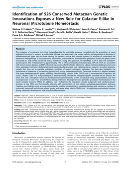 Identification of 526 Conserved Metazoan Genetic Innovations Exposes a New Role for Cofactor E-Like in Neuronal Microtubule Homeostasis