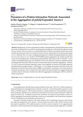 Dynamics of a Protein Interaction Network Associated to the Aggregation of Polyq-Expanded Ataxin-1