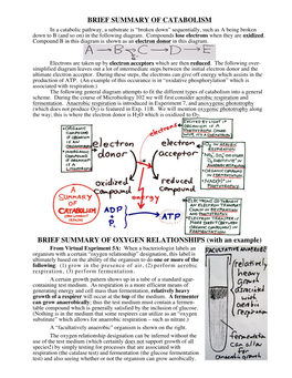 Brief Summary of Catabolism Brief Summary of Oxygen