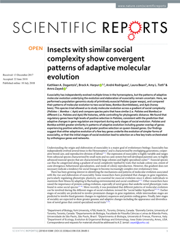 Insects with Similar Social Complexity Show Convergent Patterns Of