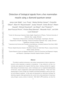 Detection of Biological Signals from a Live Mammalian Muscle Using a Diamond Quantum Sensor