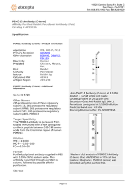 PSMD13 Antibody (C-Term) Affinity Purified Rabbit Polyclonal Antibody (Pab) Catalog # Ap2915b