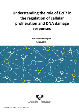 Understanding the Role of E2F7 in the Regulation of Cellular Proliferation and DNA Damage Responses