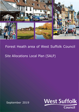 Site Allocations Local Plan (SALP)