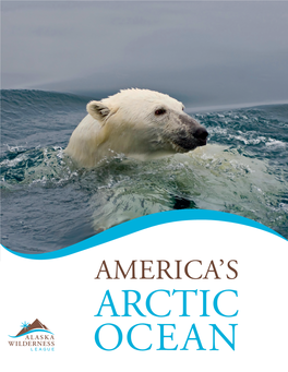 America's Arctic Ocean