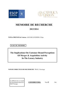 Memoire De Recherche