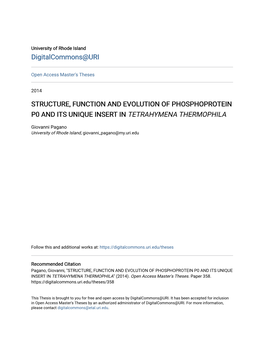 Structure, Function and Evolution of Phosphoprotein P0 and Its Unique Insert in Tetrahymena Thermophila