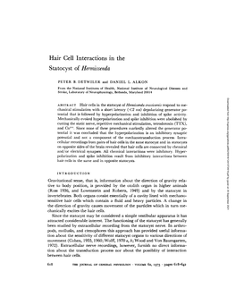 Hair Cell Interactions in the Statocyst of Hermissenda