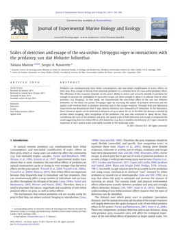 Scales of Detection and Escape of the Sea Urchin Tetrapygus Niger in Interactions with the Predatory Sun Star Heliaster Helianthus