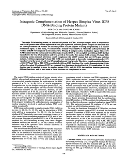 Intragenic Complementation of Herpes Simplex Virus ICP8 DNA-Binding Protein Mutants MIN Gaot and DAVID M