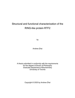 Structural and Functional Characterization of the RING-Like Protein RTF2