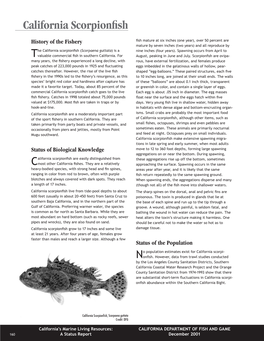 California Scorpionfish