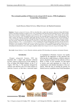 The Systematic Position of Palaeocrocota Ostrogovichi (Caradja, 1930) (Lepidoptera: Geometridae, Ennominae)