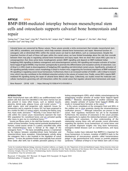 BMP-IHH-Mediated Interplay Between Mesenchymal Stem Cells and Osteoclasts Supports Calvarial Bone Homeostasis and Repair